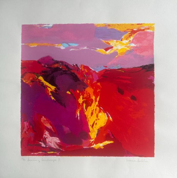 Zeefdruk Marion Bakker - Burning landscape II, Antiek en Kunst, Kunst | Litho's en Zeefdrukken, Ophalen of Verzenden