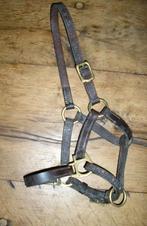 Bruin lederen halster voor mini pony, Ophalen of Verzenden, Gebruikt, Recreatie