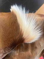 Geitenvacht springbok  kussen 38/38, Huis en Inrichting, Gebruikt, Overige kleuren, Etten-Leur, Vierkant