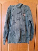 Groene hoodie met dino's maat 122/128 H&M, Gebruikt, Trui of Vest, H&M, Ophalen of Verzenden