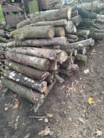 Haardhout Stammen - Diverse Houtsoorten, Tuin en Terras, Haardhout, Minder dan 3 m³, Ophalen, Overige houtsoorten, Stammen