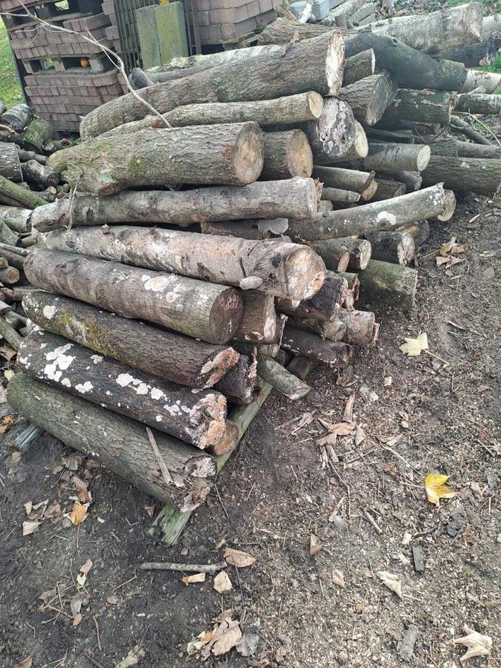 Haardhout Stammen - Diverse Houtsoorten, Tuin en Terras, Haardhout, Stammen, Overige houtsoorten, Minder dan 3 m³, Ophalen