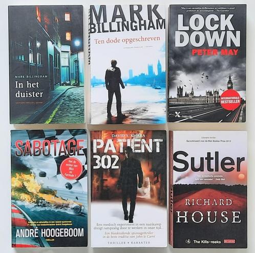 Leuke thriller mee op vakantie ?, Boeken, Thrillers, Zo goed als nieuw, Nederland, Ophalen of Verzenden