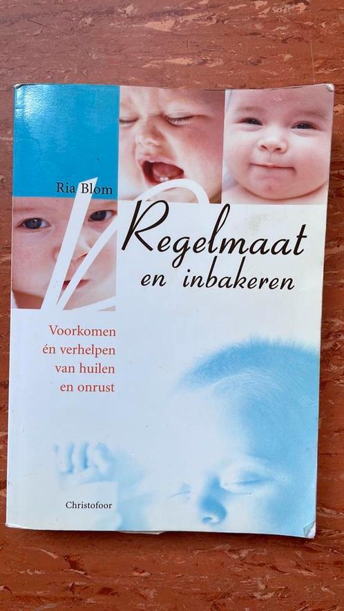 R. Blom - Regelmaat en inbakeren, Boeken, Kinderboeken | Baby's en Peuters, Zo goed als nieuw, Ophalen of Verzenden