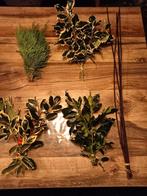 Kerstgroen te koop, Ophalen of Verzenden, Nieuw