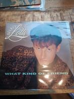 Helmut Lotti - what kind of friend, Ophalen of Verzenden, Zo goed als nieuw, Overige formaten, Levenslied of Smartlap