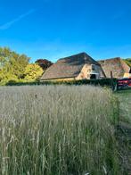 Paardenstalling Teuge - omg. Apeldoorn, Deventer, Dieren en Toebehoren, Stalling en Weidegang, Weidegang