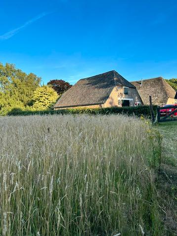 Stalling en weidegang Teuge - omg. Apeldoorn, Deventer beschikbaar voor biedingen