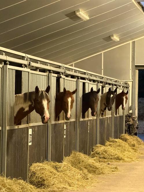 Hulp met uitmesten gezocht, Dieren en Toebehoren, Stalling en Weidegang, Stalling, 4 paarden of pony's of meer