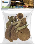 Biotope set shrimp, Ophalen of Verzenden, Nieuw, Plant(en), Steen of Hout