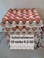 Bruine Scharreleieren Ook Dubbeldooiers, Diversen, Ophalen