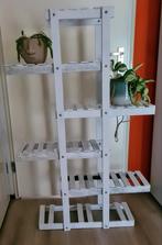 Plantenrek, Ophalen of Verzenden, Overige soorten, Minder dan 100 cm