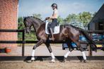 Knappe Zwarte 7 jarige Ruin, Dieren en Toebehoren, Paarden, ZZ, Gechipt, Ruin, Dressuurpaard