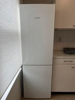 Bosch koelviesc koelkast 308 L, Ophalen, 200 liter of meer, Nieuw, 160 cm of meer