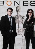 Bones  detectiveserie  complete seizoen 1, Vanaf 12 jaar, Ophalen of Verzenden, Zo goed als nieuw, Thriller