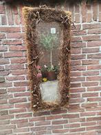 Spiegel voor tuin overkapping, Huis en Inrichting, Woonaccessoires | Spiegels, Ophalen, Zo goed als nieuw, Rechthoekig, Minder dan 100 cm