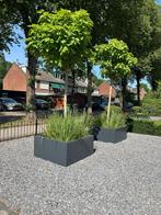 Micto plantenbakken op maat, 100 cm of meer, Verzenden, Nieuw, Metaal