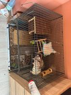 3 Ratten met kooi en akcesories, Dieren en Toebehoren, Ophalen, 75 tot 110 cm, Kooi