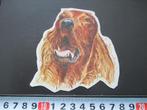 sticker Hond Hondenkop  Ierse Setter, Ophalen, Zo goed als nieuw