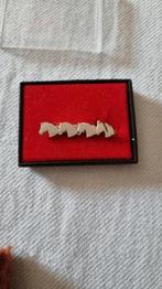 Speldjes voor op je plastron, Dieren en Toebehoren, Paardrijkleding, Ophalen, Gebruikt, Dressuur, Overige typen