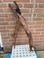 Aquariumhout kienhout XXL, Ophalen of Verzenden, Zo goed als nieuw, Plant(en), Steen of Hout