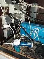 Tropische vissen, Vis, Zoetwatervis, Schoolvis