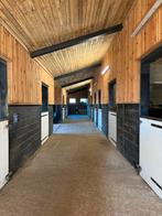 Plek vrij op kleinschalige privéstal in Maaseik, Dieren en Toebehoren, Stalling en Weidegang, Stalling