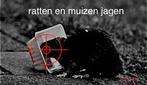 ratten bestrijding