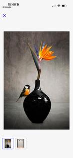 Glas schilderij stil leven koolmees, Antiek en Kunst, Ophalen