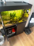 Oase styleline 175 aquarium set, Ophalen, Zo goed als nieuw, Leeg aquarium