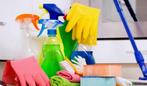 Schoonmaakster / huishoudelijke hulp gezocht, Vacatures, Vacatures | Schoonmaak en Facilitaire diensten, Overige vormen