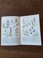'Wat er groeit en bloeit' Thieme's zakboek Botanisch 1970, Ophalen of Verzenden