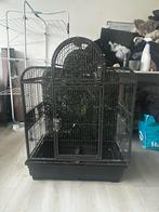 Vogelkooi groot en sterk, Ophalen of Verzenden, Gebruikt, Metaal, Vogelkooi