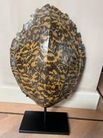 Schildpad schild nep, Antiek en Kunst, Ophalen of Verzenden