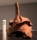 Uniek stuk Kienhout / Driftwood / Spiderwood, Hout Decoratie, Ophalen of Verzenden, Plant(en), Steen of Hout