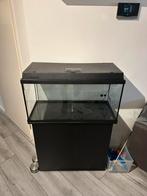 Juwel 110Liter aquarium met onderkast en alles erbij, Dieren en Toebehoren, Vissen | Aquaria en Toebehoren, Ophalen, Gebruikt