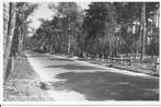 Den Dolder Dolderseweg., Ophalen of Verzenden, 1940 tot 1960, Gelopen, Utrecht