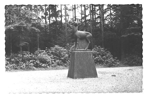 974253	Otterlo	Hoenderloo	Gld 1962 Hoge Veluwe Stenen Hert	N, Verzamelen, Ansichtkaarten | Nederland, Ongelopen, Gelderland, 1960 tot 1980