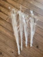 Pauwenveren vanaf 75 ct per stuk, Belle Vieille Brocante, Nieuw, Ophalen of Verzenden, Jolandamonsieurs@gmail.com