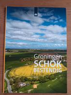 Groningen Schokbestendig - Magazine, Ophalen of Verzenden, Zo goed als nieuw, Rijksdienst voor Cultureel Erfgoed