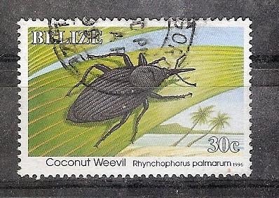 Belize, Insecten (30c), 1995., Verzenden, Gestempeld, Midden-Amerika