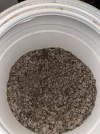 Gratis afhalen Paardenvoer Pavo Speedibeet, Ophalen, Nieuw