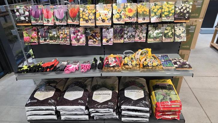 Veel verschillende Florex bloembollen, Tuin en Terras, Bloembollen en Zaden, Bloembol, Najaar, Volle zon, Ophalen of Verzenden