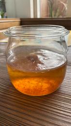 Kombucha scoby, Diversen, Levensmiddelen, Ophalen of Verzenden