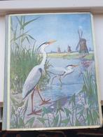 Verkade Lente 1906 Jac. THIJSSE de Ruiter compleet, Ophalen of Verzenden