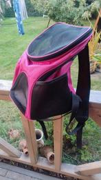 Katten bench, Dieren en Toebehoren, Ophalen of Verzenden, Zo goed als nieuw