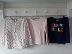 Set van 2 Longsleeves Hema Palomino Maat 98-104, Ophalen of Verzenden, Zo goed als nieuw, Meisje, Shirt of Longsleeve