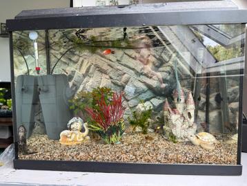 Aquarium te koop! (Zonder inhoud) beschikbaar voor biedingen