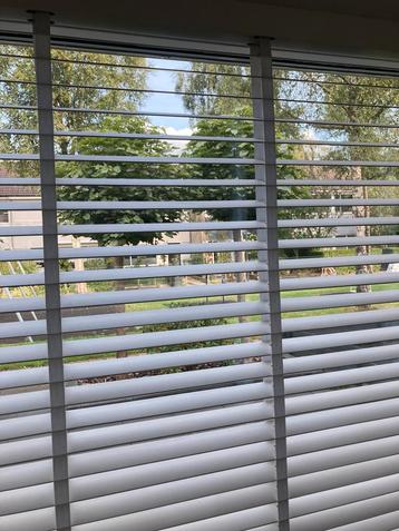 Witte Houten Jaloezieën (2 stuks) beschikbaar voor biedingen
