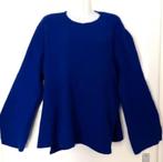 Jasper Conran paarse trui maat 48[v], Kleding | Dames, Truien en Vesten, Ophalen of Verzenden, Zo goed als nieuw, Maat 46/48 (XL) of groter